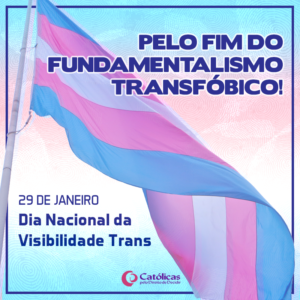 meme-29 de jan-dia da visibilidade trans